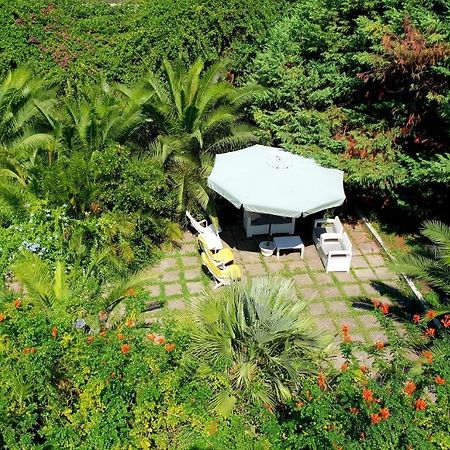 B&B Il Giardino Di Villa Anna Trecase Kültér fotó