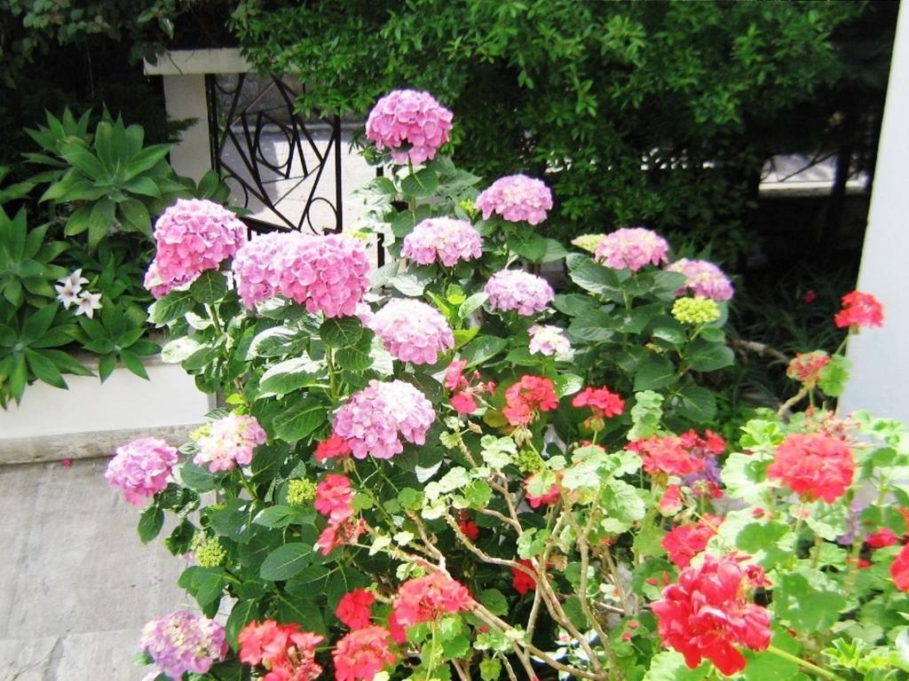 B&B Il Giardino Di Villa Anna Trecase Kültér fotó