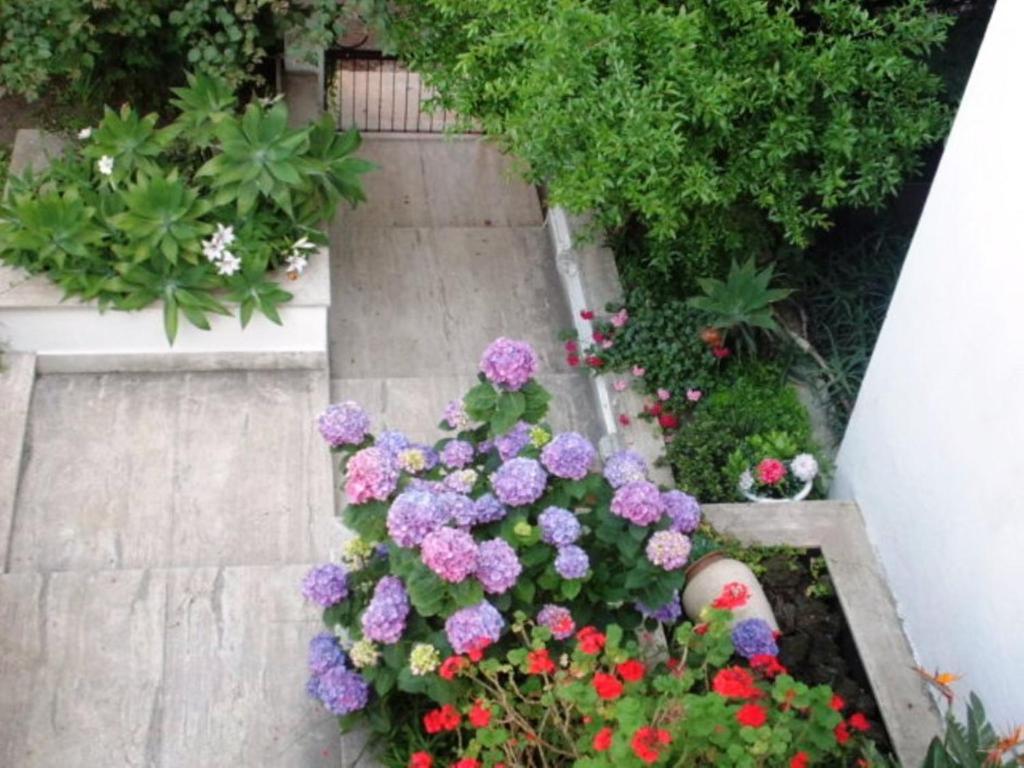 B&B Il Giardino Di Villa Anna Trecase Kültér fotó