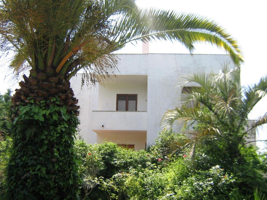 B&B Il Giardino Di Villa Anna Trecase Kültér fotó