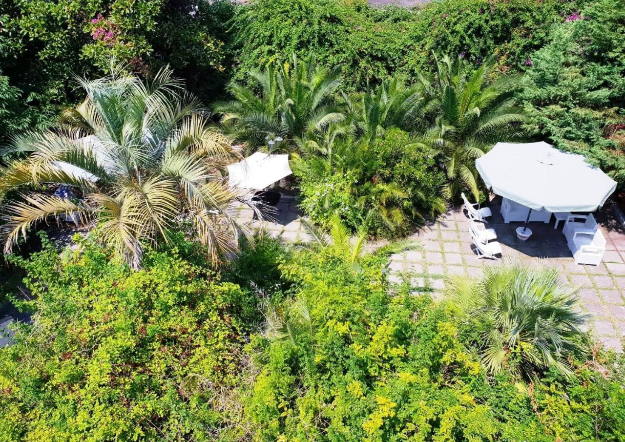 B&B Il Giardino Di Villa Anna Trecase Kültér fotó