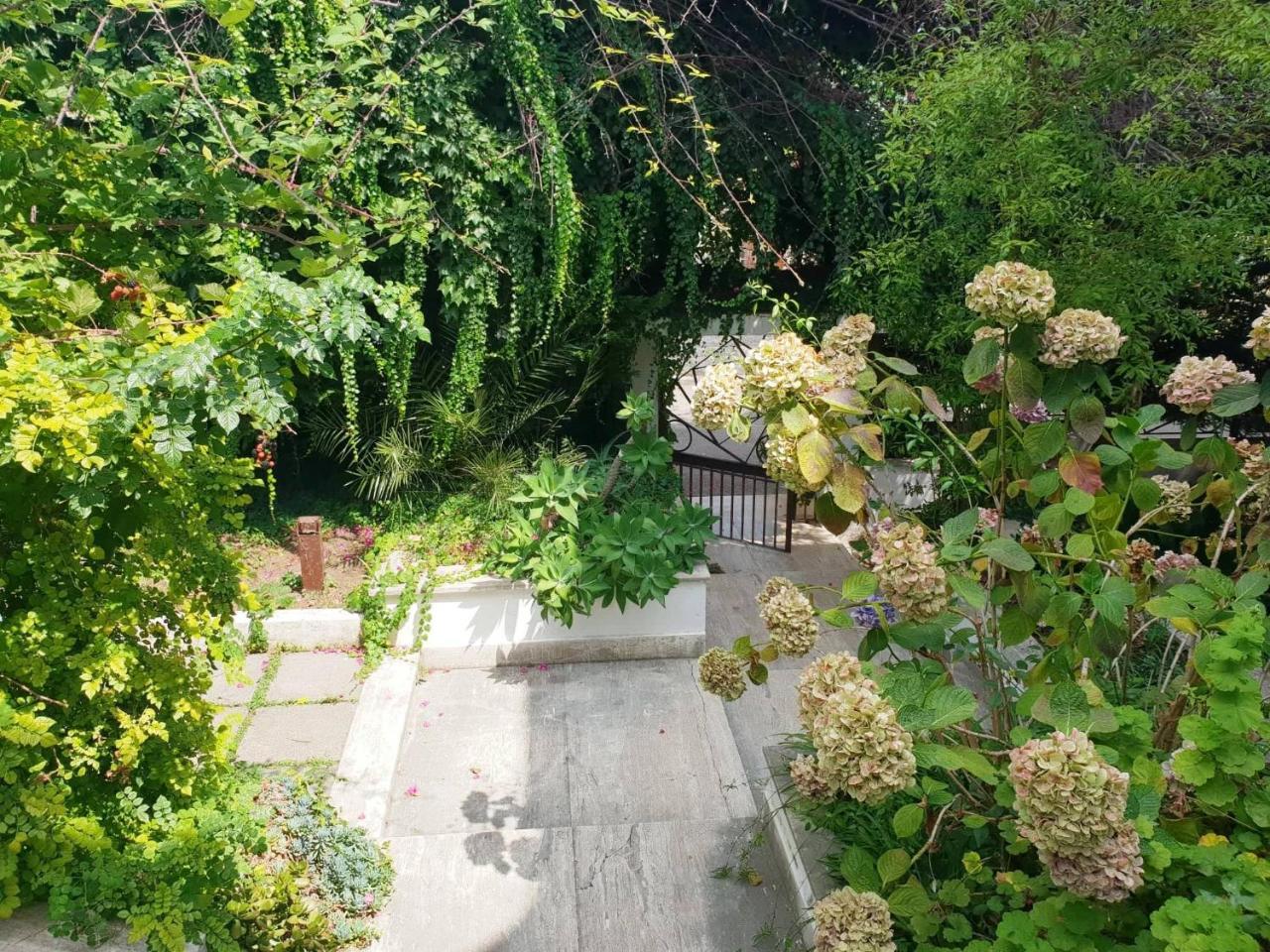 B&B Il Giardino Di Villa Anna Trecase Kültér fotó