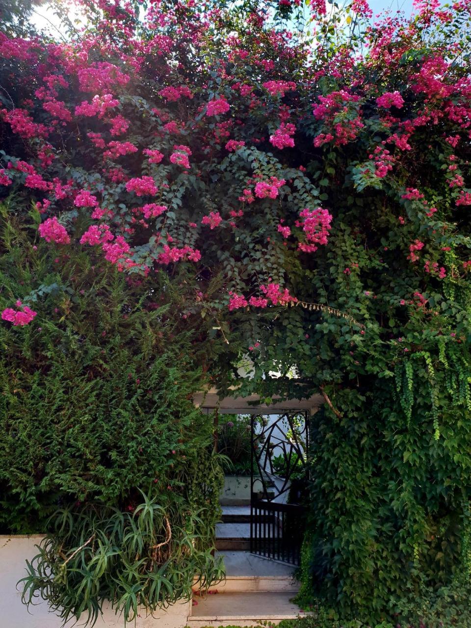 B&B Il Giardino Di Villa Anna Trecase Kültér fotó