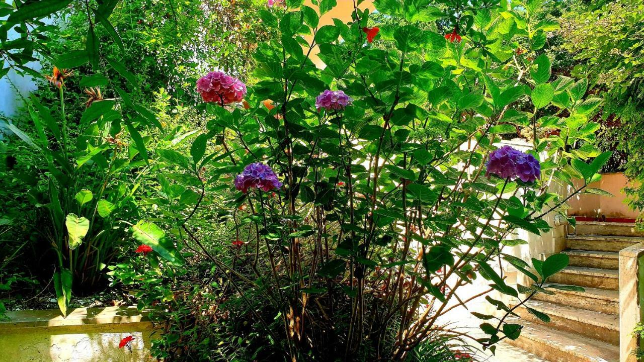 B&B Il Giardino Di Villa Anna Trecase Kültér fotó
