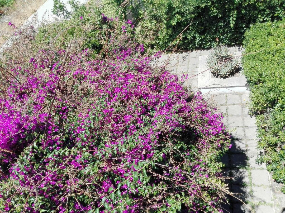 B&B Il Giardino Di Villa Anna Trecase Kültér fotó
